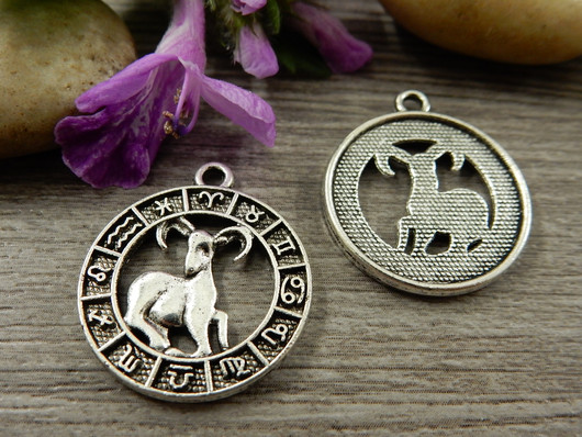 Horoskooppiriipus kauris, 24x21mm, kromi, 1kpl