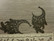 Unisieppaririipus, 60x30mm, musta, 1kpl