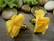 Tasseliriipus kukka 25x30mm, keltainen, 1kpl