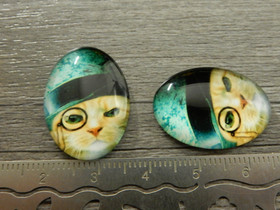 Kapussi kissa, 18x25mm, moniväri, 1kpl