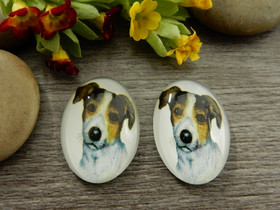 Kapussi koira, 18x25mm,moniväri, 1kpl