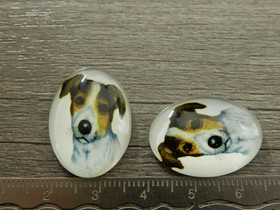 Kapussi koira, 18x25mm,moniväri, 1kpl