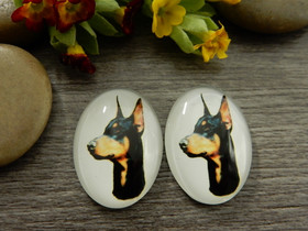 Kapussi koira, 18x25mm, moniväri, 1kpl