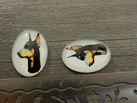 Kapussi koira, 18x25mm, moniväri, 1kpl