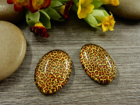 Kapussi kuvio, 13x18mm, moniväri, 1kpl