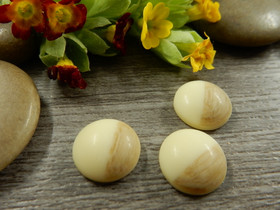 Kapussi raita, 12mm, beige-ruskea, 1kpl