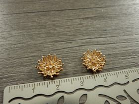 Koriste/ kapussi, 11x12x3mm, vaaleakulta, 5kpl