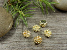 Koriste/ kapussi, 6mm, kulta, 10kpl