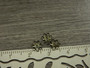 Helmihattu kukka, 6mm, pronssi, 50kpl