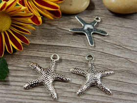 Meritähtiriipus, 20x19mm, kromi, 1kpl