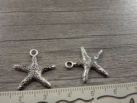 Meritähtiriipus, 20x19mm, kromi, 1kpl