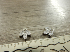 Strassiriipus lehti, 12x10mm, kromi, 1kpl