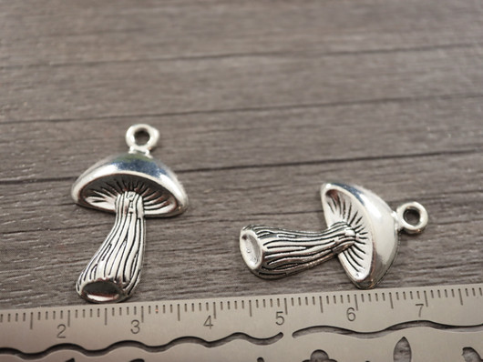 Sieniriipus, 28x18mm, kromi, 1kpl