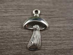 Sieniriipus, 28x18mm, kromi, 1kpl