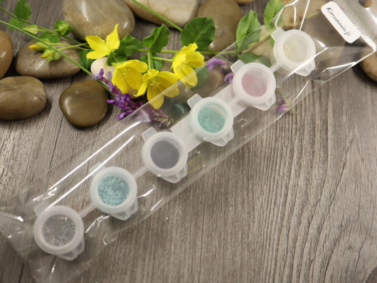 Glitternisti eko glitterlajitelma 2, n.6-7g/18ml, 6 sävyä, 1kpl