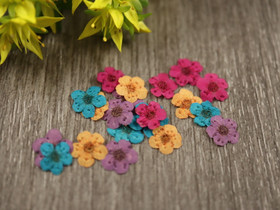 Kuivakukka rasia, 7mm, moniväri, 1kpl