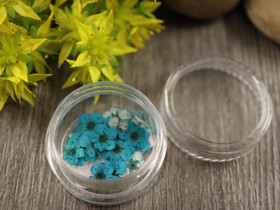 Kuivakukka rasia, 7mm, turkoosi, 1kpl