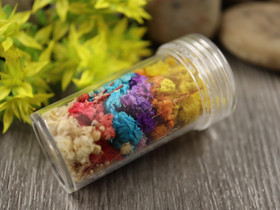 Kuivakukka lajitelma, 50x23mm, mix setti, 1kpl