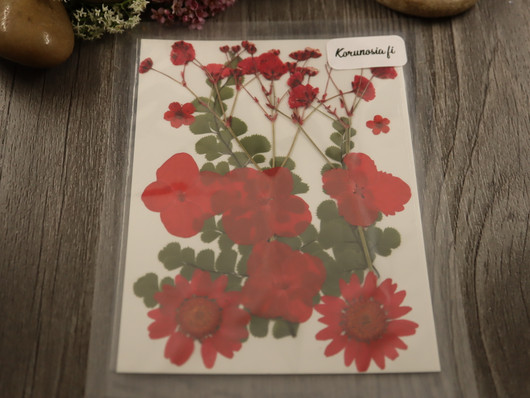 Kuivakukkalajitelma, 120x85x0.3mm, punainen, 1kpl