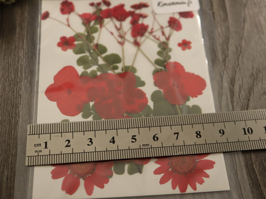 Kuivakukkalajitelma, 120x85x0.3mm, punainen, 1kpl