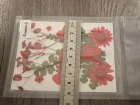 Kuivakukkalajitelma, 120x85x0.3mm, punainen, 1kpl