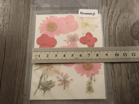 Kuivakukkalajitelma, 120x85x0.3mm, useita sävyjä, 1kpl