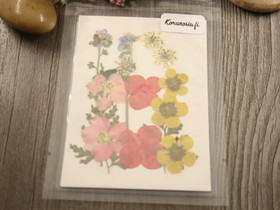 Kuivakukkalajitelma, 99x74x1mm, useita sävyjä, 1kpl