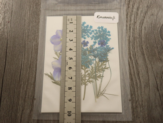 Kuivakukkalajitelma, 99x74x1mm, useita sävyjä, 1kpl