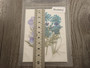 Kuivakukkalajitelma, 99x74x1mm, useita sävyjä, 1kpl