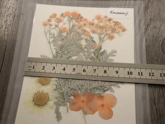 Kuivakukkalajitelma, 120x85x0.3mm, useita sävyjä, 1kpl