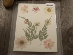 Kuivakukkalajitelma, 120x85x0.3mm, useita sävyjä, 1kpl