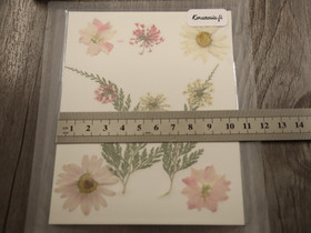 Kuivakukkalajitelma, 120x85x0.3mm, useita sävyjä, 1kpl