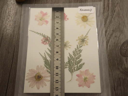 Kuivakukkalajitelma, 120x85x0.3mm, useita sävyjä, 1kpl