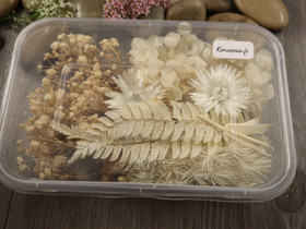 Kuivakukkaljitelma, 17x12x3cm, beige, 1kpl, POSTIPAKETTI TOIMITUS