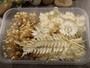 Kuivakukkaljitelma, 17x12x3cm, beige, 1kpl, POSTIPAKETTI TOIMITUS