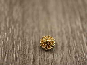 Koriste/ kapussi, 5mm, kulta, 10kpl