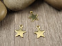Tähtiriipus, 10x8mm, kulta/ rst, 1kpl