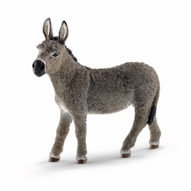 Schleich Aasi 13772