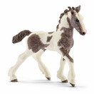 Schleich Tinker hevonen Varsa 13774