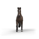 Schleich KWPN hevonen Ruuna 14919