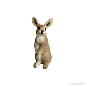 Seisova pupu - Second Hand