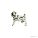 Schleich Dalmatialainen pentu 16839 - Second Hand