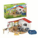 Schleich Eläinlääkärin vastaanotto ja kotieläimet 42502