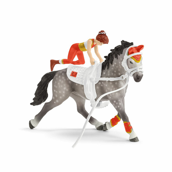 Schleich Vikellyssetti 42443
