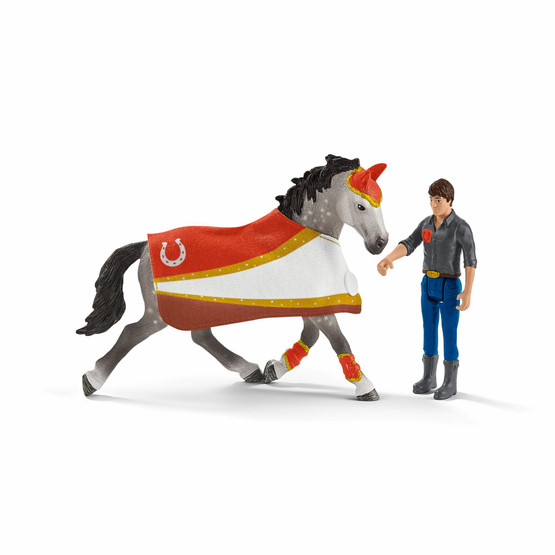 Schleich Vikellyssetti 42443