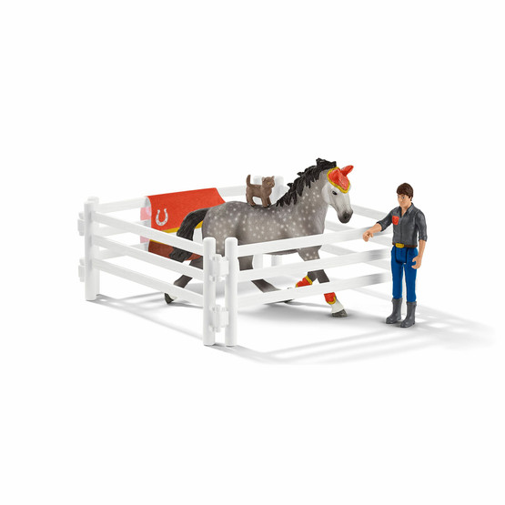Schleich Vikellyssetti 42443