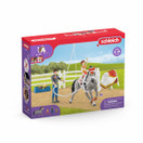 Schleich Vikellyssetti 42443