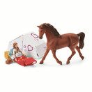 Schleich Auto ja traileri 42535