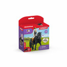 Schleich Horse Clubin Tori ja Princess 42640