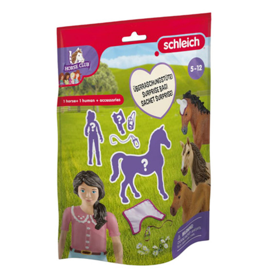 Schleich Horse Club Yllätyspussi 88078